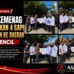 ASN Kemenag Lima Puluh Kota menyerahkan sapi kurban untuk daerah terpencil pada Iduladha 1447 Hijriah.