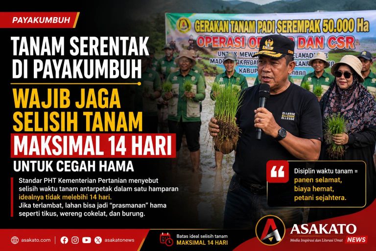 Gerakan Tanam Serentak di Payakumbuh untuk mencegah ledakan hama padi.