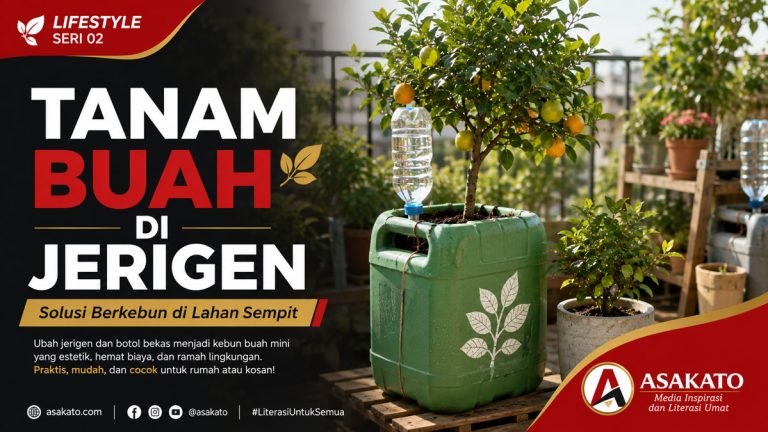 Tanam buah di jerigen dan botol bekas sebagai solusi berkebun di lahan sempit dengan sistem irigasi tetes sederhana.